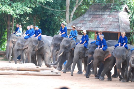 thai-elephant-conservation-center