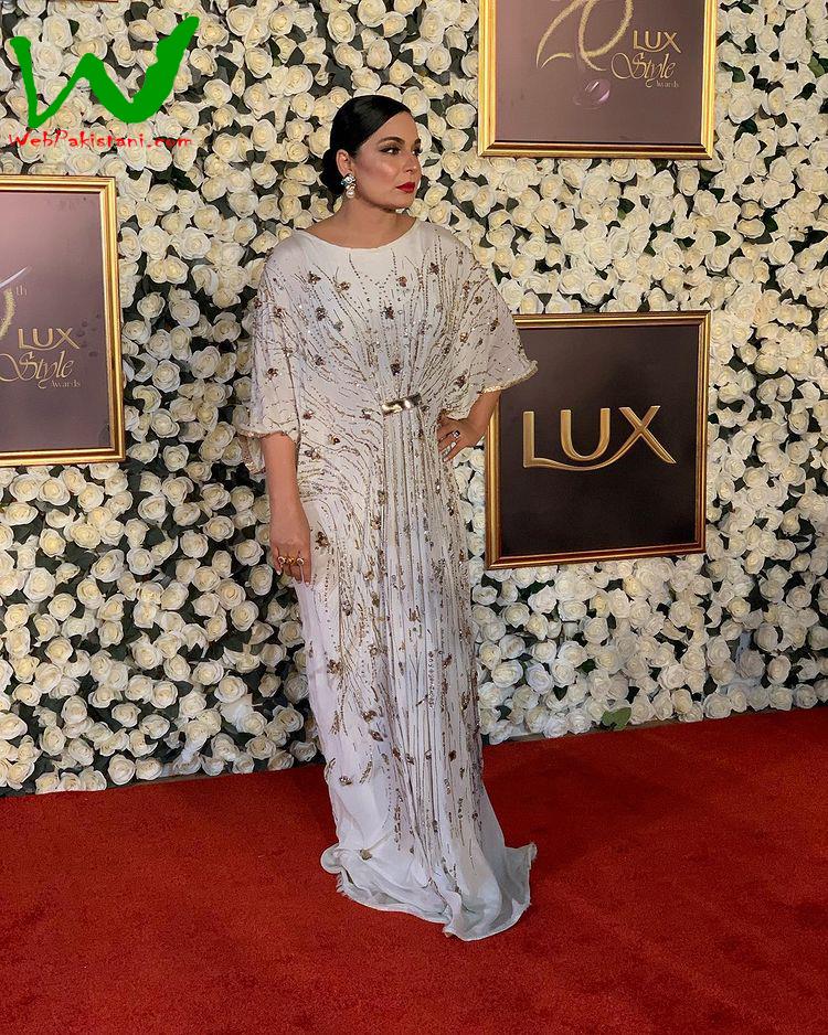 Pakistani actress Meera took a trip down memory lane and relived her red carpet moments from the Lux Style Awards.
