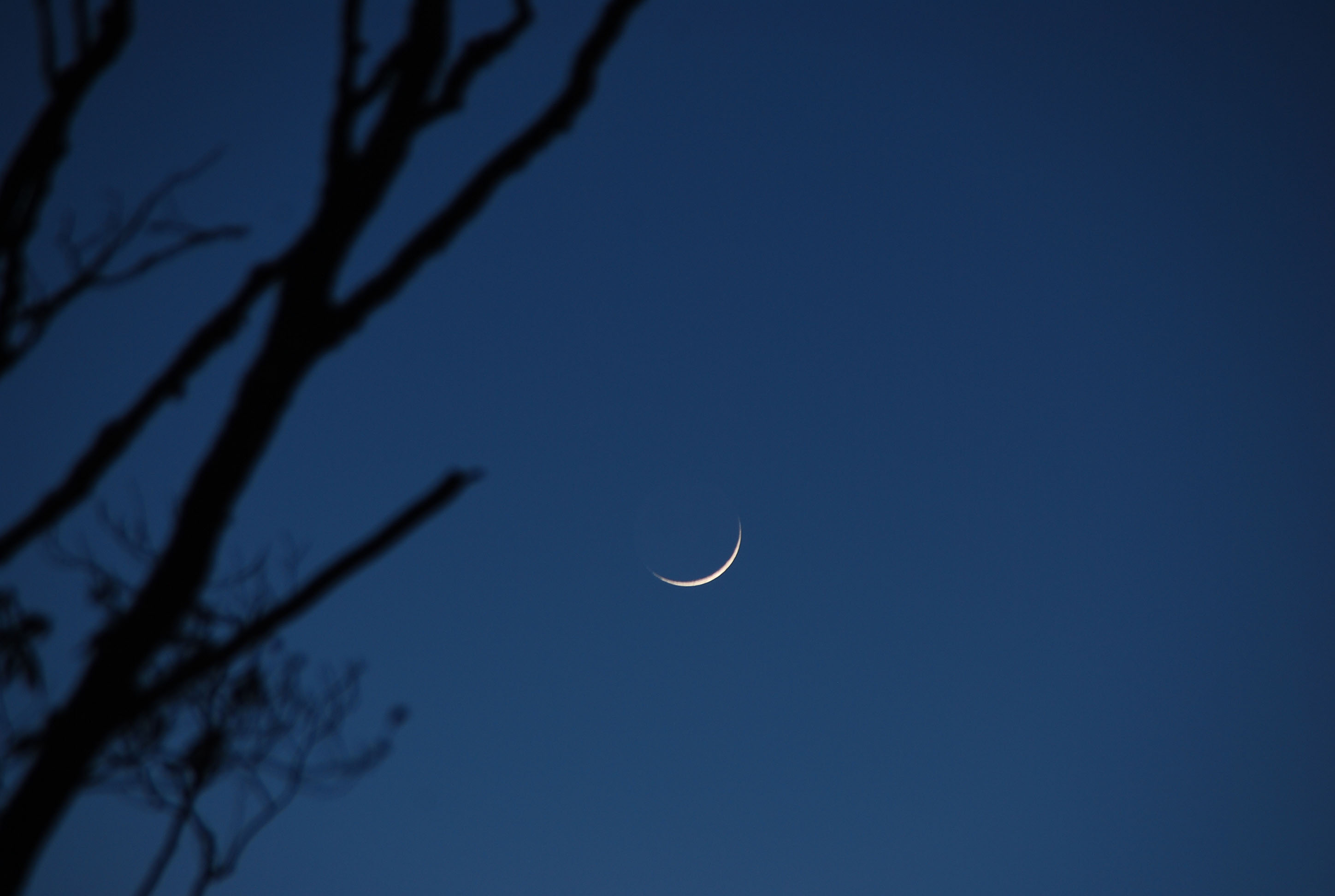 Ramadan Moon 2014