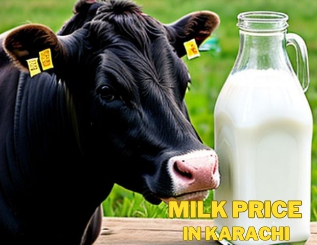 milk price in karachi