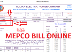 MEPCO Online Bill Check
